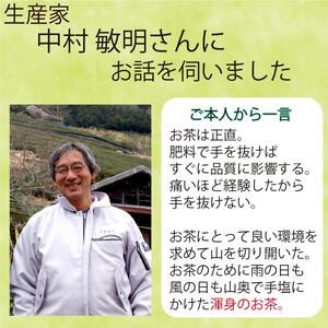 静岡市【静岡茶】 大川大間 100g2袋セット 本山茶
