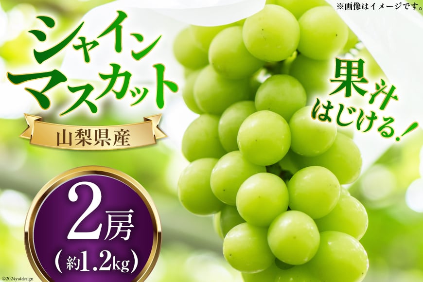 
            【期間限定発送】 シャインマスカット 鈴木ぶどう園のシャインマスカット 2房 約1.2㎏ [鈴木ぶどう園 山梨県 韮崎市 20743034] シャイン マスカット フルーツ 果物 くだもの ぶどう 葡萄 ブドウ
          