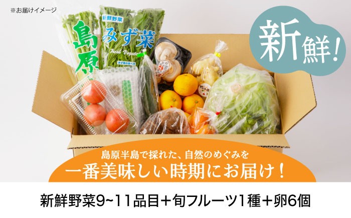 野菜 12回 定期便 フルーツ 果物 卵 野菜セット 詰合せ 12か月 1年