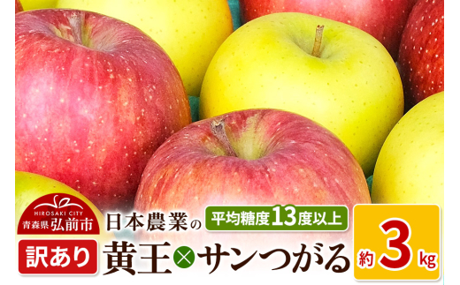りんご 【先行受付】平均糖度13度以上！ 黄王×サンつがる 約3kg 訳あり