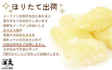 《早期予約・8月出荷予定》新鮮！ほりたて！「江差産メークイン5kg M・L混合」しっとりほくほく　甘い　北海道のメークイン　北海道産じゃがいも　じゃがバター　肉じゃが　カレー　シチュー　いもの塩煮