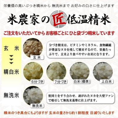 ふるさと納税 加西市 無洗米 【令和7年産】ヒノヒカリ 10kg (5kg×2)[無洗米] 精米[No5698-7838] |  | 03