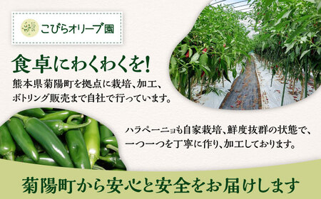ハラペーニョ 醬油漬けとピクルスのセット / はらぺーにょ 醤油漬け ハラペーニョ ピクルス 唐辛子 調味料 2種 セット 菊陽町 熊本県【こびらオリーブ園】[BHBL014]