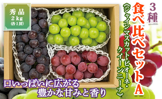 
《先行予約》【山形の極み】山形県産　3種食べ比べセットB《シャインマスカット・ピオーネ・クイーンニーナ》 ぶどう ブドウ 葡萄 デザート フルーツ 果物 くだもの 果実 食品 山形県 F2Y-5238
