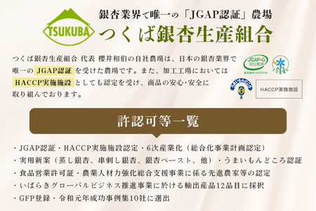 つくば 銀杏 ( ぎんなん ) 大玉 銀杏 殻付 冷凍 500g 農薬不使用 無着色 贈答品 ギフト 高級 旬 食材 食品 国産 冷凍保存 産地直送 送料無料 (A24-003)