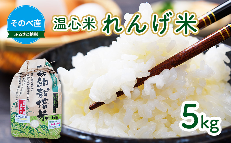 米 コシヒカリ れんげ米 5kg ×1袋 そのべ産 温心米 2025年度産 お米 単一原料米 こしひかり 丹波 精米 白米 こめ コメ 京都 