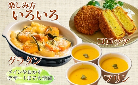 【2026年発送】北海道 オーガニック ３種 の かぼちゃBOX 計約4kg カボチャ デリカタ ミニバターナッツ ロロン 南瓜 有機野菜 野菜 有機栽培 JAS 産直 産地直送 国産 ニセコグリーン