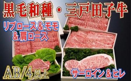 【大容量】国産和牛 豪華セット 3kg 黒毛和牛 「三戸・田子牛」