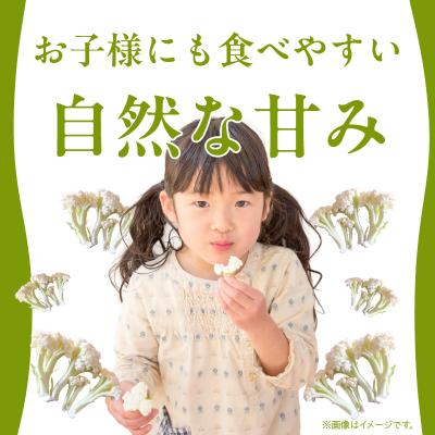 ふるさと納税 天草市 スティックカリフラワー (天草一号)600g_S150-006 |  | 02