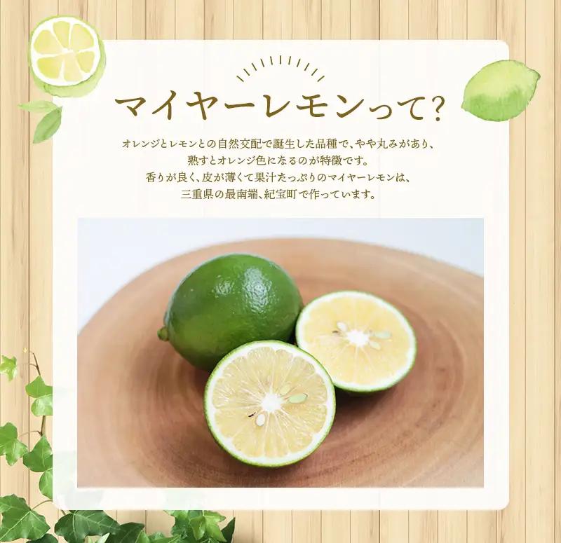 レモン 訳あり マイヤーレモン はぎファーム 5kg【hgf004】