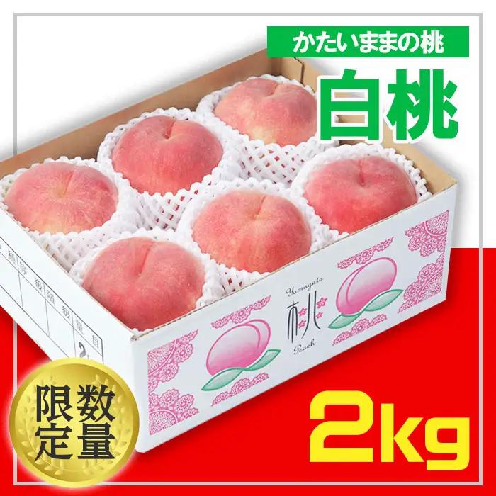 ☆フルーツ王国山形☆白桃 秀品 2kg(かたいままの桃) 【令和8年産先行予約】 FS25-672 くだもの 果物 フルーツ 山形 山形県 山形市 2026年産