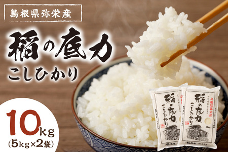 【令和6年産】浜田産「稲の底力こしひかり」10kg　お取り寄せ 特産 米 お米 精米 白米 玄米 ごはん ご飯 コメ 10キロ 10kg  【120】