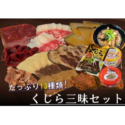 ふるさと納税 あきる野市 くじら三昧12種詰め合せセット