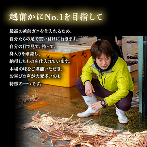 越前ガニ 訳あり ボイル1杯 約600g～700g未満 越前ガニ