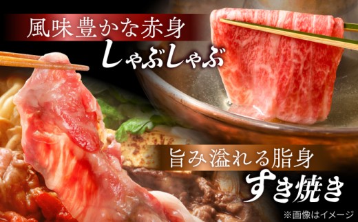 【全6回定期便】【訳あり】切り落とし 赤身 モモ バラ 1kg (250g×4P) 長崎和牛 A4〜A5 ワケあり 小間切れ【野中精肉店】 すき焼き しゃぶしゃぶ [VF106]