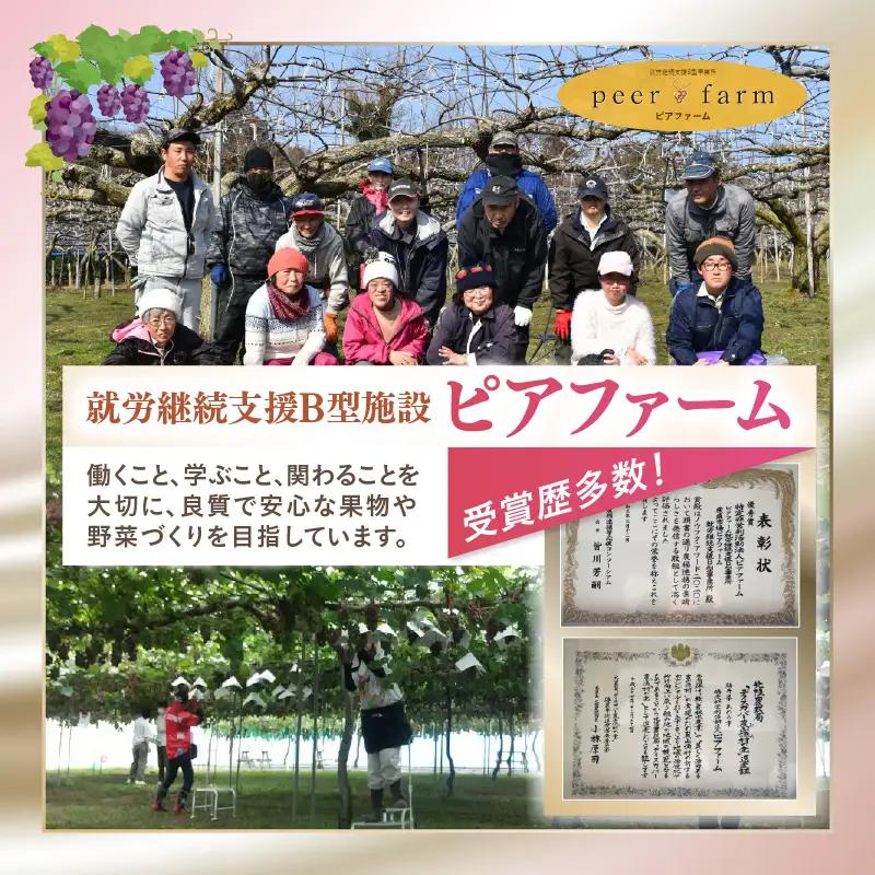 【福井県あわら市産】夢の果実直送便 梨ジュース（720ml×2本）／ ジュース 梨  [aw023-a002]