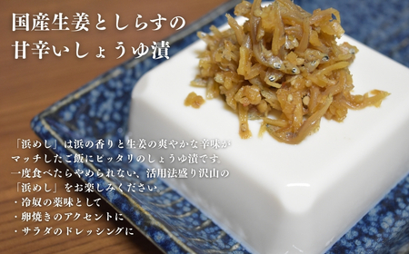 浜めししらす生姜 120g×5袋 | 漬物 しらす ご飯のお供 香の蔵