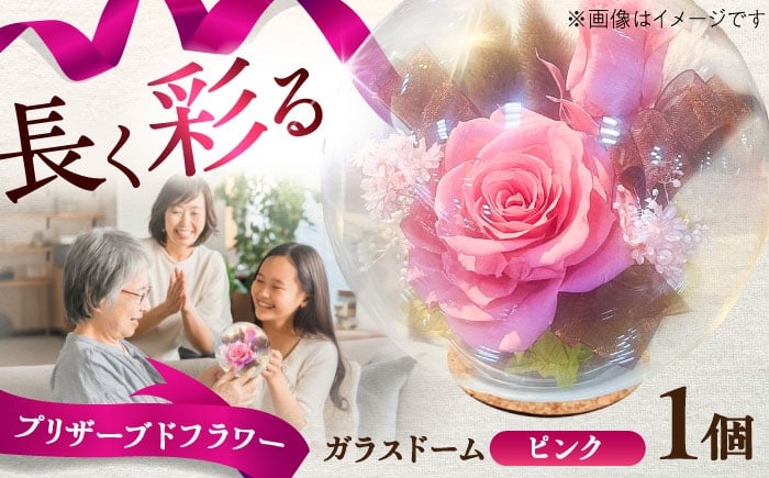 
            プリザーブドフラワー　ガラスドーム (ピンク) / 花 プレゼント 贈答用 ガラス 母の日 父の日 入学式 卒業式 菊陽町 熊本県【株式会社 美向】 [BHDC006]
          