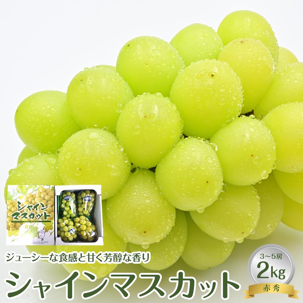 【ふるさと納税】【先行予約】JA シャインマスカット 赤秀2kg箱（3～5房入）※着日指定不可 ※離島への配送不可 ※2025年9月初旬頃～9月中旬頃に順次発送予定 | シャインマスカット マスカット 葡萄 ブドウ ぶどう フルーツ 果物 甘い 鳥取県 北栄町 おすすめ 人気