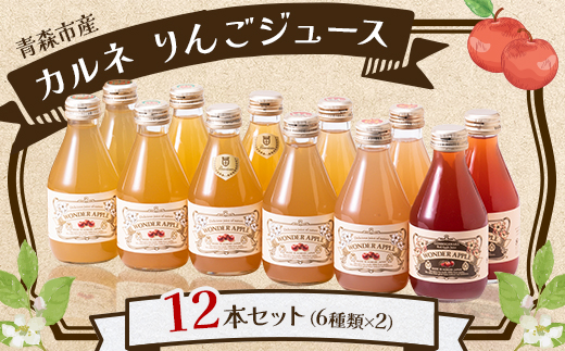 
カルネ りんごジュース 12本セット_A306【1076429】
