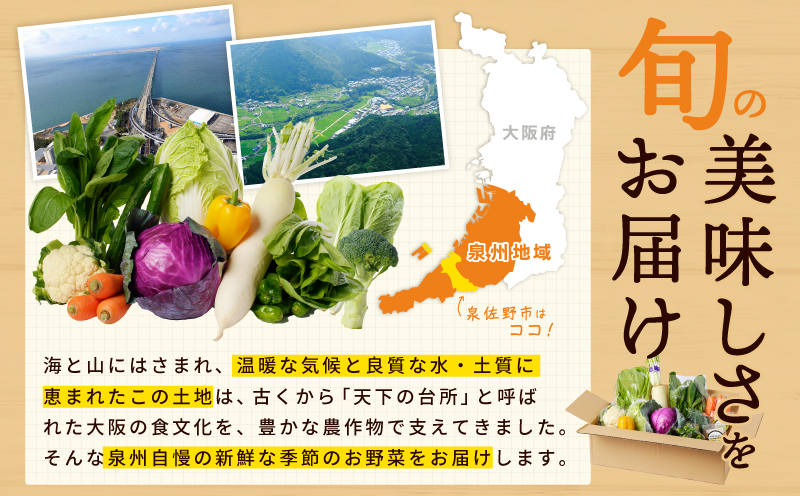 旬の新鮮 野菜セット（15種以上）定期便 全6回 おまかせ ピクルスの素付き ファミリー向け いずみピクルス NSW【毎月配送コース】 099Z280