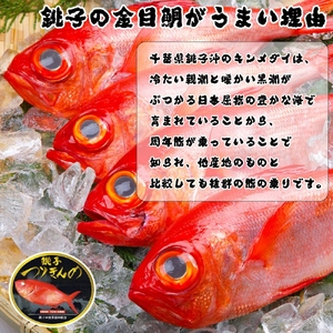 【生食用】金目鯛 フィレ 2枚 鯛 鯛 鯛 鯛 鯛