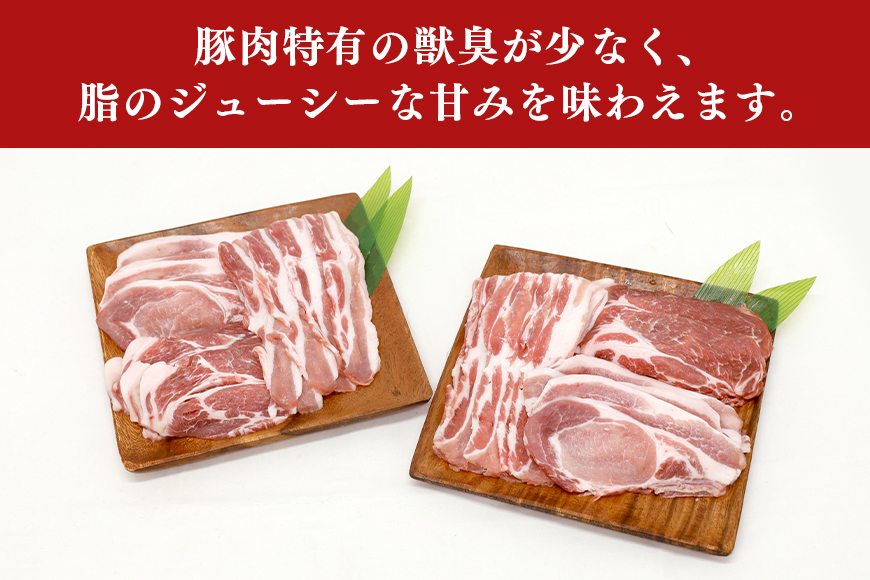 ブランド豚「ばんぶぅ」化粧箱入りギフト 2種（鍋用、しゃぶしゃぶ用）計1.5kg 冷凍便 1.5キロ 大容量 たっぷり 豚肉 豚ロース 豚肩ロース 豚バラ肉 豚ばら肉 スライス うす切り 薄切り 豚し