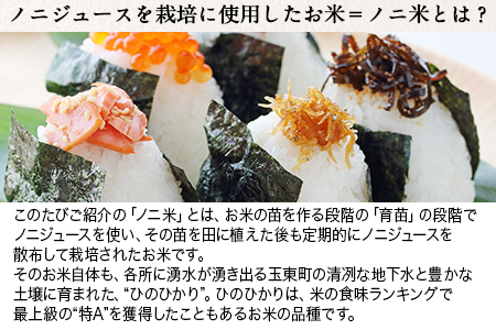 令和5年産  ひのひかり(ノニ米) 約5kg(5kg×1袋) コノCAFE《30日以内に出荷予定(土日祝除く)》