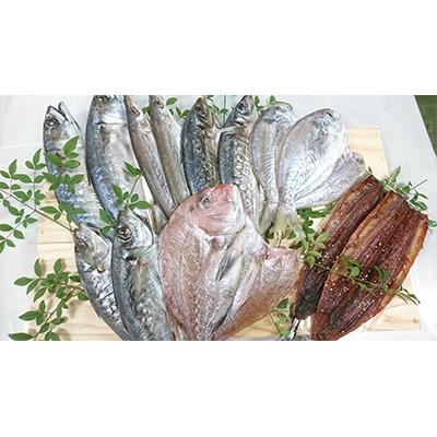 ふるさと納税 湯浅町 【2025年8月下旬発送】かね七商店　特選干物セット　7種13枚