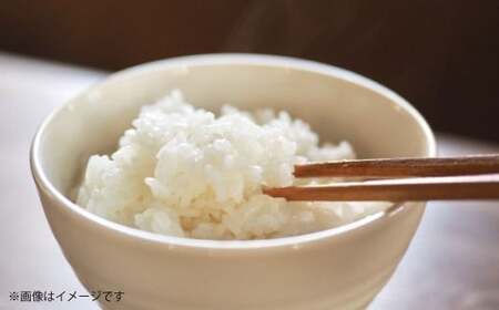 【令和7年度産】 熊本県産のお米5kg ひのひかり   精米 単一原料米 お米 米  【2025年11月上旬発送開始】