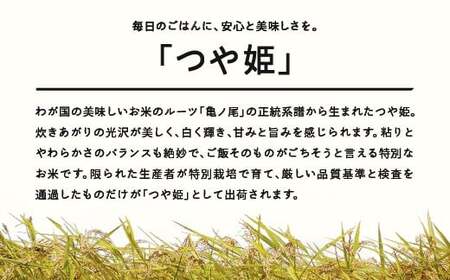 新米 つや姫 精米 10kg 1月上旬~1月中旬発送 配送時期選べる 令和7年産 2025年産 ※沖縄・離島への配送不可 tf-tssxb10-1f