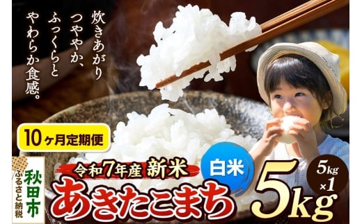 《令和7年産 新米先行受付》《定期便10ヶ月》 米 あきたこまち 5kg 【白米】 秋田県産