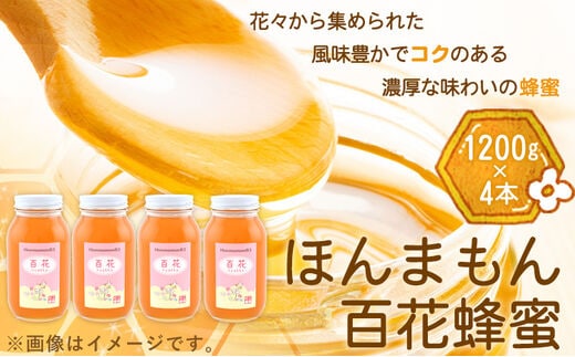 
										
										ほんまもん百花蜂蜜 1200g×4本 村上養蜂《90日以内に出荷予定(土日祝除く)》和歌山県 紀の川市---wsk_murayhh4_90d_21_59000_4800g---
									