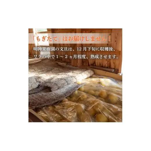 【早期予約開始 2027年2月頃より順次発送】  文旦 土佐文旦 10kg L サイズ 優品 贈答 果物 フルーツ 文旦 ぶんたん ブンタン 浦ノ内 みかん 蜜柑 柑橘 分担 旬 時期 数量限定 期間