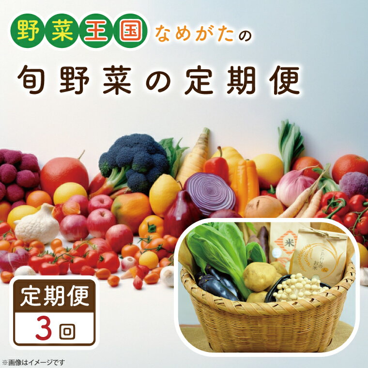 【ふるさと納税】【3ヶ月定期便】野菜王国なめがたの旬野菜便(米 5kg入り)｜野菜 やさい 米 お米 旬 野菜セット セット 茨城県 行方市(CU-136)