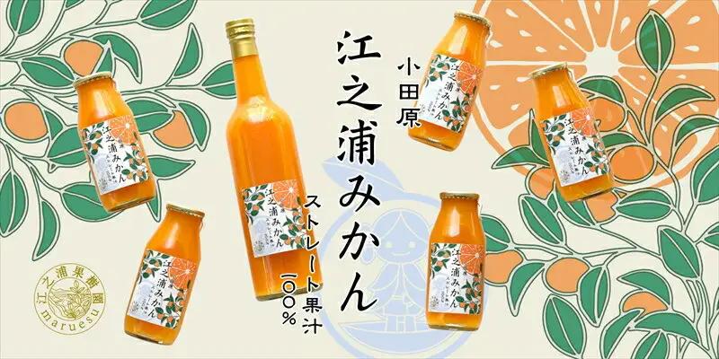 【定期便 6回】小田原産江之浦みかん１００％ストレートジュース５００ml６本【みかんジュース みかんジュース 神奈川県 小田原市 】