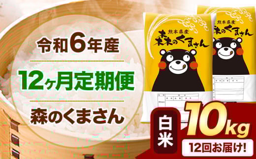 【12ヶ月定期便】令和6年産 白米  森のくまさん 10kg 5kg×2袋  《お申込み月の翌月から出荷開始》 熊本県産 白米 精米 米 こめ コメ お米 kome
