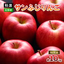 【ふるさと納税】【特選】山形のサンふじりんご 約10kg 特秀品(24～36玉) fz19-141 リンゴ 林檎 フルーツ 果物 お取り寄せ 送料無料