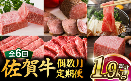 【全6回・偶数月にお届け】佐賀牛 A5 霜降り 食べ比べ 定期便 約2-3人前 総計1.95kg 隔月発送 /焼肉どすこい [UCC008] 牛肉 肉 ステーキ ローストビーフ