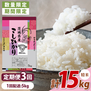 【数量限定】【10月より発送】【令和7年産】【３ヵ月定期便】美味追求 茨城県産こしひかり 5kg×3 【定期便 お米 ごはん こしひかり 精米 おにぎり ごはん 茨城県 水戸市 15キロ】(NA-2)