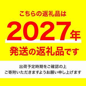 ＜先行予約！2027年1月上旬以降順次発送予定＞香川県産 越冬小原紅早生みかん(約2kg/サイズミックス) 国産 果物 フルーツ みかん ミカン 柑橘 新登場 【man360】【Aglio nero】