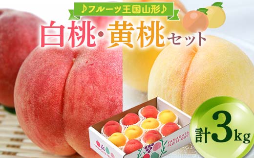 【先行予約 2026年度発送】♪フルーツ王国山形♪白桃・黄桃セット 秀品 合計3kg もも モモ 桃 デザート フルーツ 果物 くだもの 果実 食品 山形県 FSY-2480