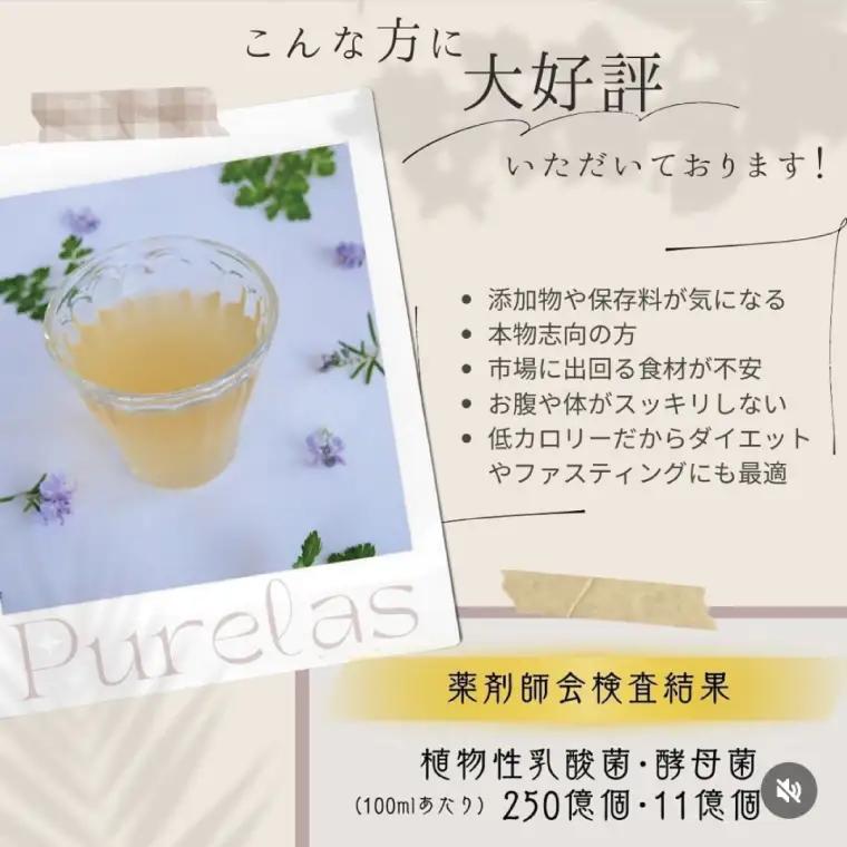 自然の恵みを封じこめた完全非加熱発酵エキス『ピュアラス酵素』500ml/１本（EH-8）