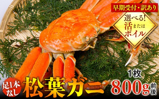 
                  【早期受付】【選べます！活またはボイル】足1本なし 訳あり 松葉ガニ 大1枚（800g前後）※着日指定不可※2026年11月上旬頃から順次発送予定 ｜ 蟹 かに 松葉ガニ 松葉蟹 訳あり 家庭用 鳥取県産 北栄町 おすすめ 人気
                