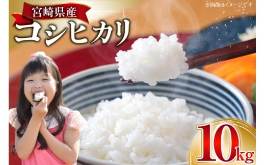 米 令和7年 宮崎県産 コシヒカリ 新米 白米 10kg [たくちゃんの野菜農園 宮崎県 日向市 452061464] 令和7年産 精米 こめ コメ お米 ご飯 10キロ