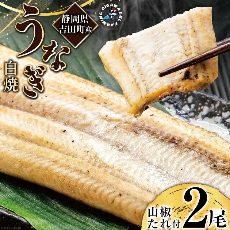 うなぎ 国産 静岡 うなぎ白焼 150g 以上× 2尾 タレ 山椒 付き [大井川うなぎ 静岡県 吉田町 22424463]