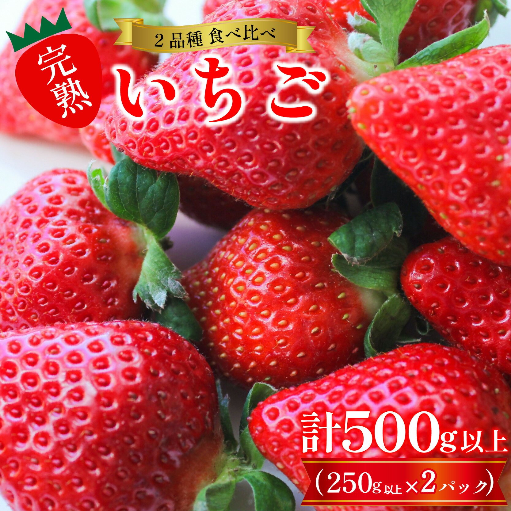 【ふるさと納税】 先行予約 訳あり いちご 食べ比べ 2品種 セット 計500g (250g×2パック) 完熟 苺 おいCベリー スターナイト ほしうらら やよいひめ さつまおとめ ストロベリー 苺大福 不揃い 規格外 家庭用 人気 オススメ お取り寄せ グルメ 徳島県 阿波市 よつぼし農園
