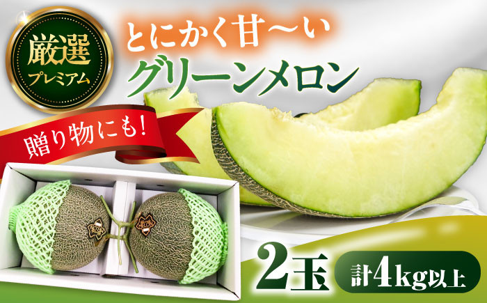 
            【2026年7月上旬〜発送】【平成新山メロンPREMIUM（とみちゃん厳選）】グリーンメロン 2玉 / メロン めろん 青肉 糖度 2玉 果物 くだもの フルーツ ふるーつ 旬 高級 ギフト / うえだメロン園 [SAD003]
          