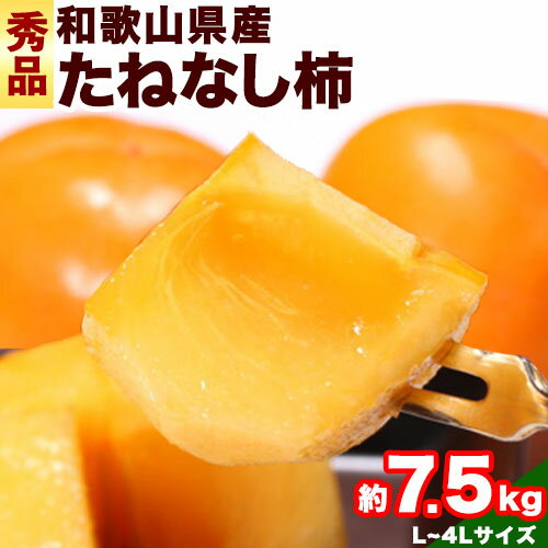 【先行予約】【ふるさと納税】 和歌山産 たねなし 柿 （ L～4L サイズ おまかせ ） 約 7.5kg 秀品 厳選館 《2025年10月上旬-11月中旬頃出荷》 和歌山県 日高川町 柿 カキ かき ジューシー フルーツ たねなし