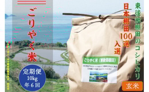 【予約受付】 令和7年度産 ごりやく米 東後畑棚田こしひかり 玄米 10kg 定期便 年6回 隔月配送 棚田米 長門市 コシヒカリ こしひかり 発送9月下旬から